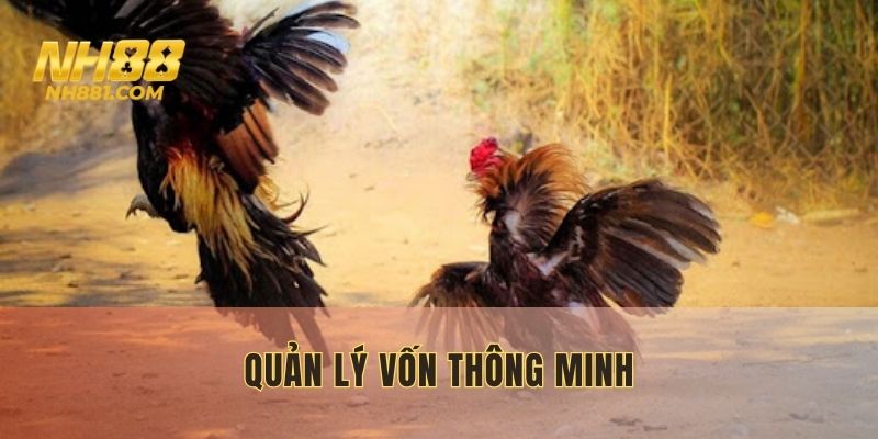 Quản lý tiền cược hiệu quả